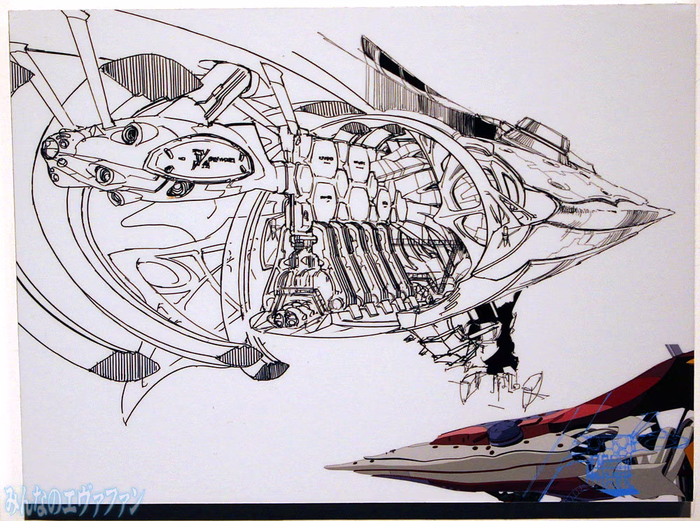 shineva_0011_psw_1256