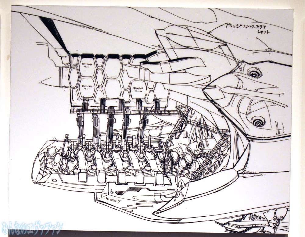 shineva_0011_psw_1257